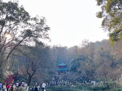 -岳麓山风景名胜区