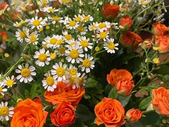 -雕刻时光咖啡馆(交大店)