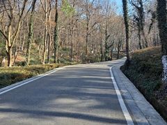 -南京老山国家森林公园