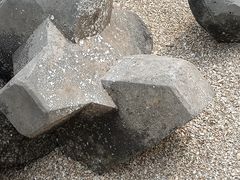 -东疆建设开发纪念公园