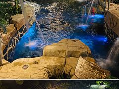 -泉城欧乐堡戏水湾艺术养生温泉