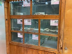 -上海大自然野生昆虫馆(东方明珠·爬宠昆虫探索中心)
