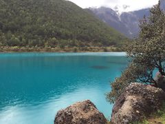 -阿婆情腊排骨火锅(金虹路店)