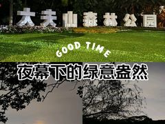 -番禺大夫山森林公园