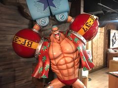 -东京塔海贼王主题公园