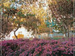 -莲花池公园