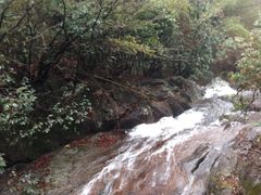 -东天目山风景区
