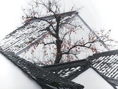 -北寺塔