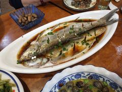 清蒸鲜白鱼-西新饭店(城中店)
