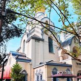 上海免费网红拍摄地 No.51｜思南书局·诗歌店｜最美书店