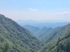 -东天目山风景区