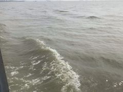 -巢湖姥山岛