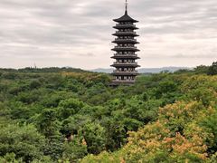 -宜兴龙背山森林公园