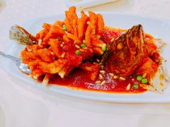 松子桂鱼-顺风海鲜港(金玉兰店)