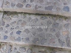 -上海佘山国家森林公园天马山园