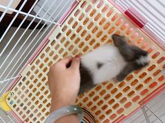 -龙猫仔乐园(惠福东路店)