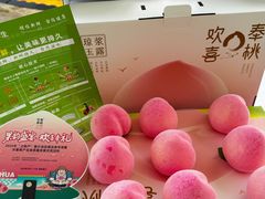 -溪口-滕头旅游景区