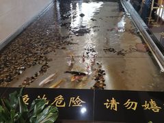 -山东政协大厦维景大酒店