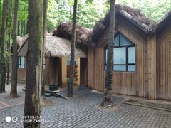 -山王坪喀斯特国家生态公园