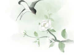 -卡旺卡(步行街一店)