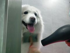 -宠福鑫康馨动物医院·骨科·眼科