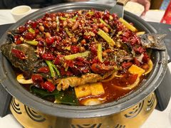 -锦尚阁烤鱼(望京新荟城店)