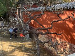 -泰山风景名胜区-普照寺