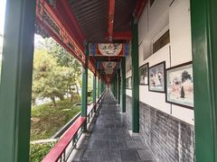 -新川办餐厅