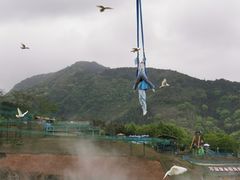 -瓷天下海丝谷