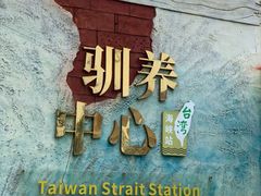 -广东惠东海龟国家级自然保护区