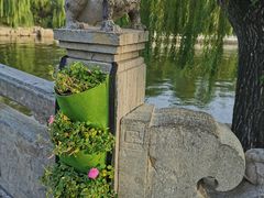 -迎泽公园