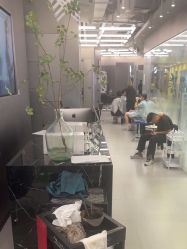 -东方麒麟·潘多拉SALON