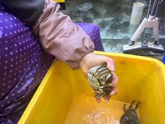 -蟹天蟹地农家菜·阳澄湖大闸蟹(浅水湾店)