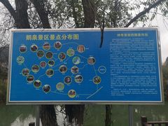 -靖西鹅泉风景区