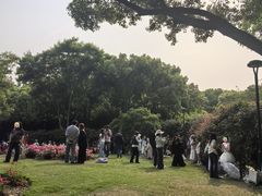 -大关公园