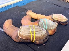 -富黎华海鲜大酒楼(正大广场店)