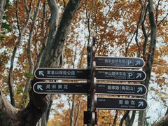 -WeLope紫金山探险公园