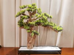 -毛家饭店·30年融合新湘菜(汉峪金谷店)