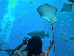 -亚特兰蒂斯•OSSIANO奥西亚诺海底餐厅