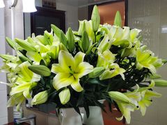 -农汤老店(顺联公园里店)