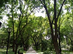 -玲珑塔公园