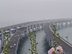 -星海湾跨海大桥