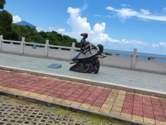 -广东惠东海龟国家级自然保护区