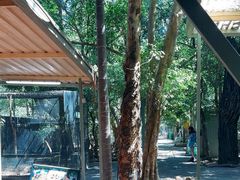 -费瑟代尔野生动物园