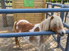 -长白岛森林公园