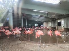 -石家庄市动物园