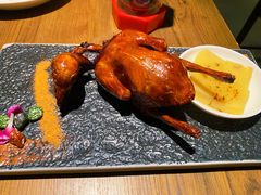 红烧鸽-大鸽饭(岗顶店)