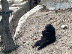 -大连森林动物园