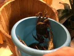 -伯豪瑞廷酒店-天伦阁西餐厅