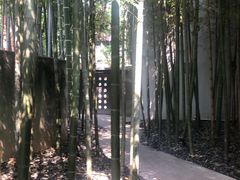 -穹六人间 people 6(岳阳路店)